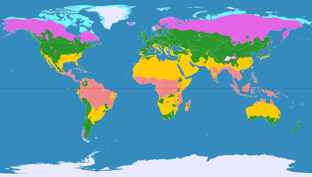 Climatic world map, projected to Patterson Cylindrical Projection.